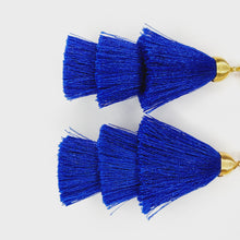 Load image into Gallery viewer, Large Tassel Earring 3 Colors
